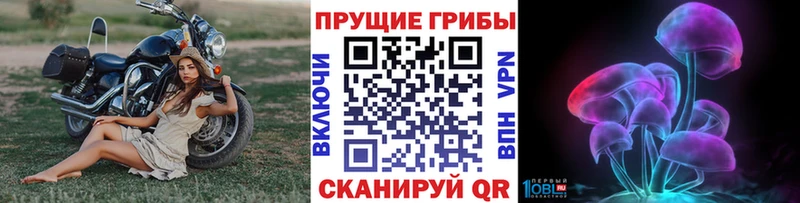 Галлюциногенные грибы Cubensis  Макарьев 